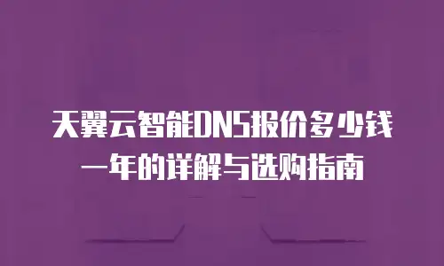天翼云智能DNS报价多少钱一年的详解与选购指南