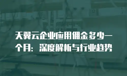 天翼云企业应用佣金多少一个月：深度解析与行业趋势