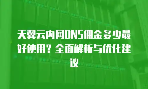 天翼云内网DNS佣金多少最好使用？全面解析与优化建议