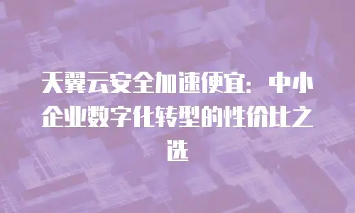 天翼云安全加速便宜：中小企业数字化转型的性价比之选