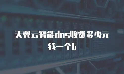天翼云智能dns收费多少元钱一个G
