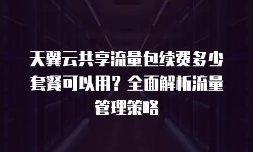 天翼云共享流量包续费多少套餐可以用？全面解析流量管理策略