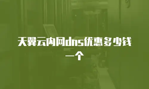 天翼云内网dns优惠多少钱一个