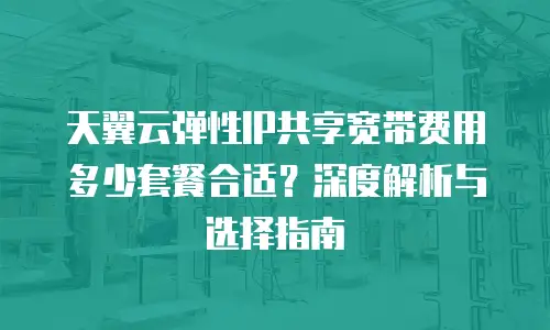 天翼云弹性IP共享宽带费用多少套餐合适？深度解析与选择指南