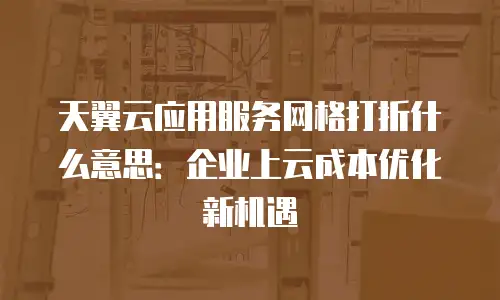 天翼云应用服务网格打折什么意思：企业上云成本优化新机遇