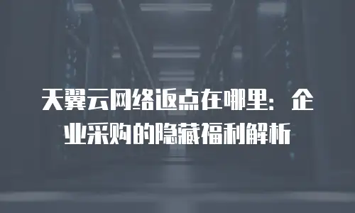 天翼云网络返点在哪里：企业采购的隐藏福利解析