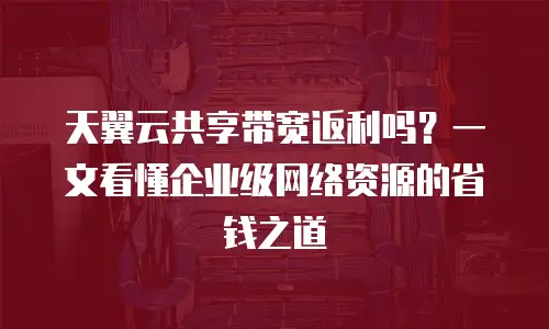 天翼云共享带宽返利吗？一文看懂企业级网络资源的省钱之道