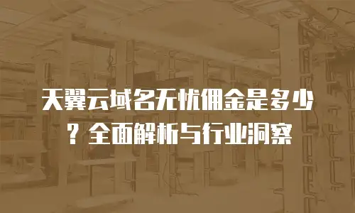天翼云域名无忧佣金是多少？全面解析与行业洞察