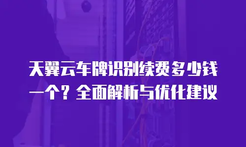 天翼云车牌识别续费多少钱一个？全面解析与优化建议