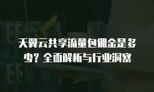 天翼云共享流量包佣金是多少？全面解析与行业洞察