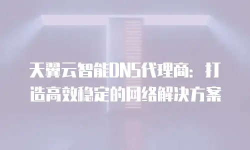 天翼云智能DNS代理商：打造高效稳定的网络解决方案