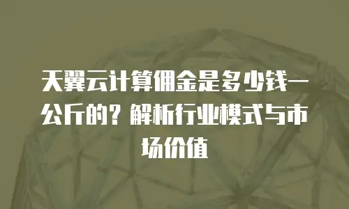 天翼云计算佣金是多少钱一公斤的？解析行业模式与市场价值