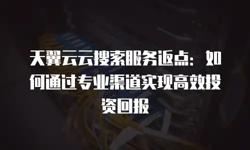 天翼云云搜索服务返点：如何通过专业渠道实现高效投资回报