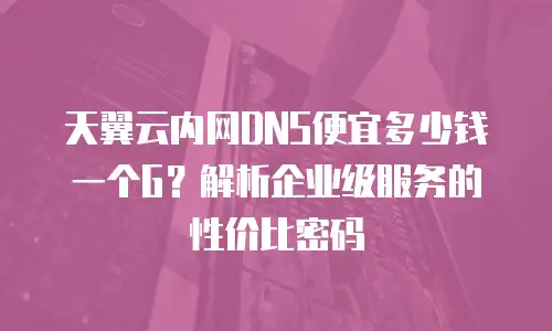 天翼云内网DNS便宜多少钱一个G？解析企业级服务的性价比密码