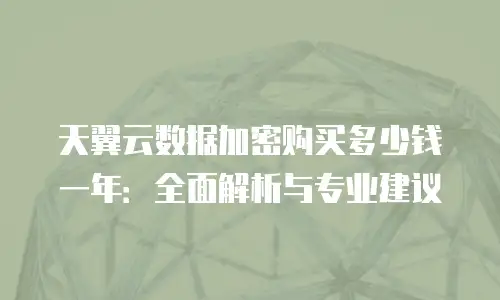 天翼云数据加密购买多少钱一年：全面解析与专业建议