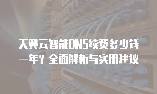 天翼云智能DNS续费多少钱一年？全面解析与实用建议