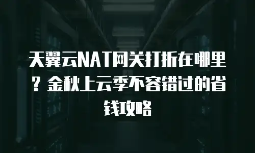 天翼云NAT网关打折在哪里？金秋上云季不容错过的省钱攻略