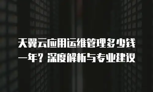 天翼云应用运维管理多少钱一年？深度解析与专业建议