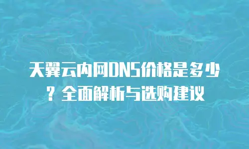 天翼云内网DNS价格是多少？全面解析与选购建议
