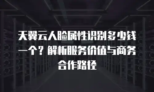 天翼云人脸属性识别多少钱一个？解析服务价值与商务合作路径