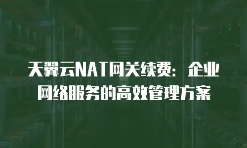 天翼云NAT网关续费：企业网络服务的高效管理方案
