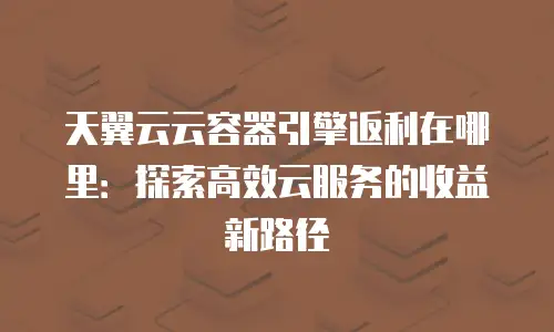 天翼云云容器引擎返利在哪里：探索高效云服务的收益新路径