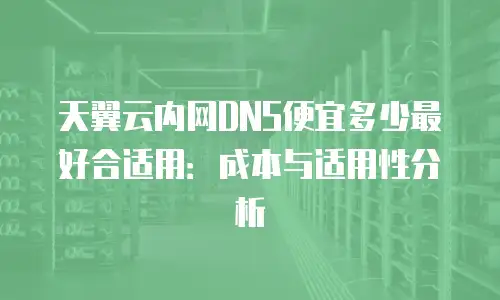 天翼云内网DNS便宜多少最好合适用：成本与适用性分析