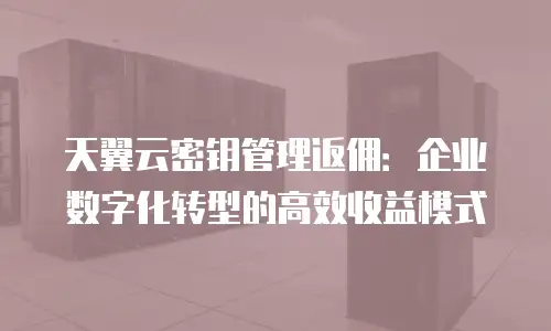 天翼云密钥管理返佣：企业数字化转型的高效收益模式