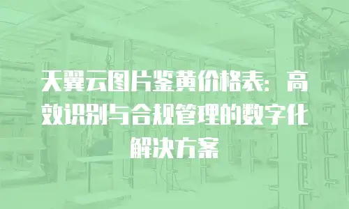 天翼云图片鉴黄价格表：高效识别与合规管理的数字化解决方案