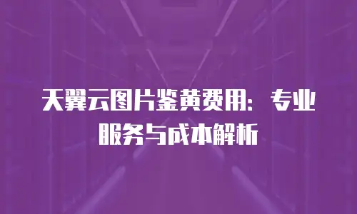 天翼云图片鉴黄费用：专业服务与成本解析