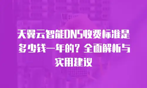 天翼云智能DNS收费标准是多少钱一年的？全面解析与实用建议