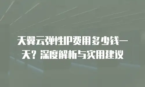 天翼云弹性IP费用多少钱一天？深度解析与实用建议
