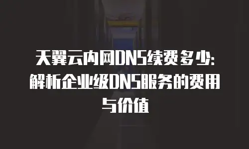 天翼云内网DNS续费多少：解析企业级DNS服务的费用与价值