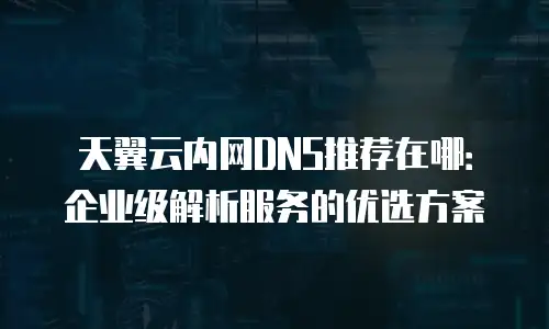 天翼云内网DNS推荐在哪：企业级解析服务的优选方案