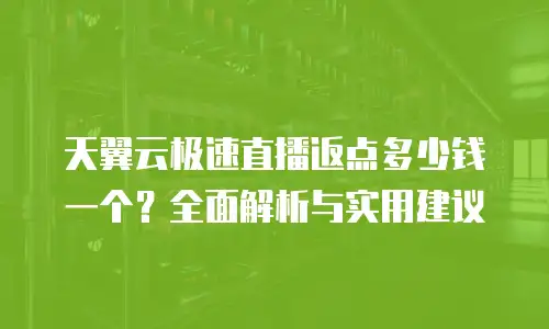 天翼云极速直播返点多少钱一个？全面解析与实用建议