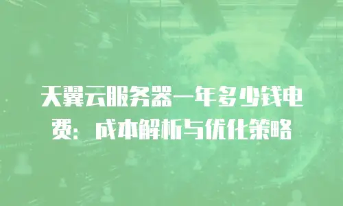 天翼云服务器一年多少钱电费：成本解析与优化策略