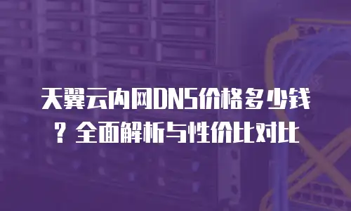 天翼云内网DNS价格多少钱？全面解析与性价比对比