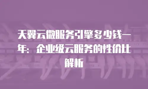 天翼云微服务引擎多少钱一年：企业级云服务的性价比解析