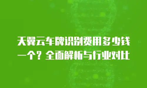 天翼云车牌识别费用多少钱一个？全面解析与行业对比
