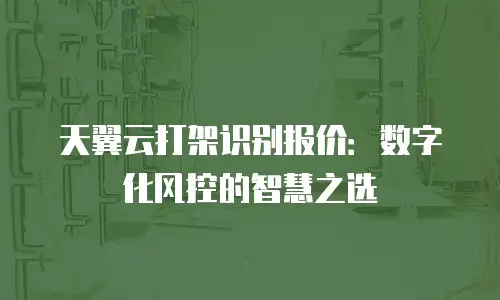 天翼云打架识别报价：数字化风控的智慧之选