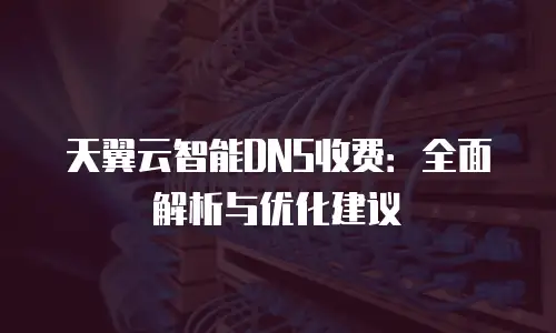 天翼云智能DNS收费：全面解析与优化建议