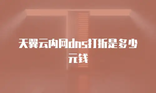 天翼云内网dns打折是多少元钱