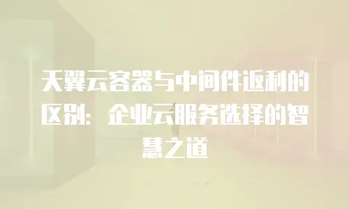 天翼云容器与中间件返利的区别：企业云服务选择的智慧之道