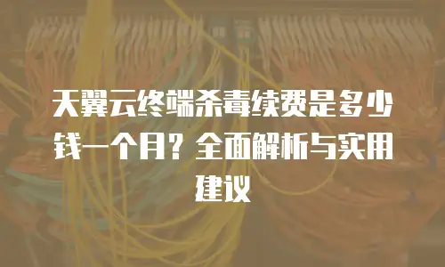 天翼云终端杀毒续费是多少钱一个月？全面解析与实用建议