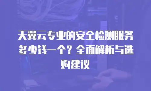 天翼云专业的安全检测服务多少钱一个？全面解析与选购建议