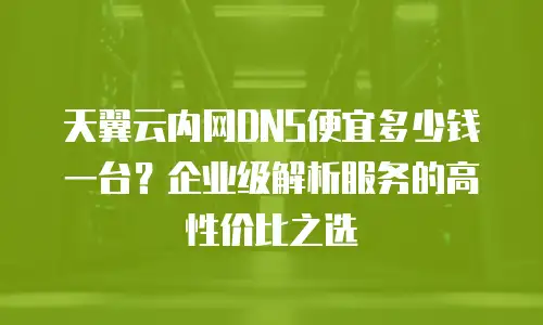 天翼云内网DNS便宜多少钱一台？企业级解析服务的高性价比之选