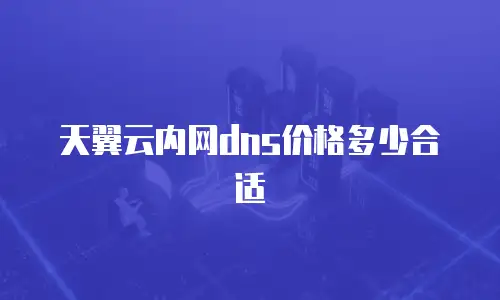天翼云内网dns价格多少合适