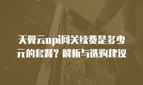 天翼云api网关续费是多少元的套餐？解析与选购建议