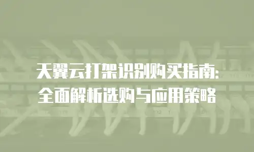 天翼云打架识别购买指南：全面解析选购与应用策略