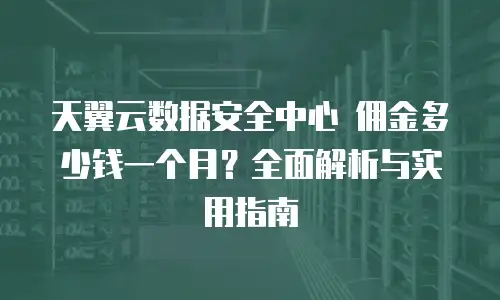 天翼云数据安全中心 佣金多少钱一个月？全面解析与实用指南